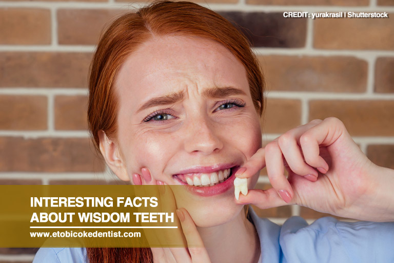 Interesting Facts About Wisdom Teeth