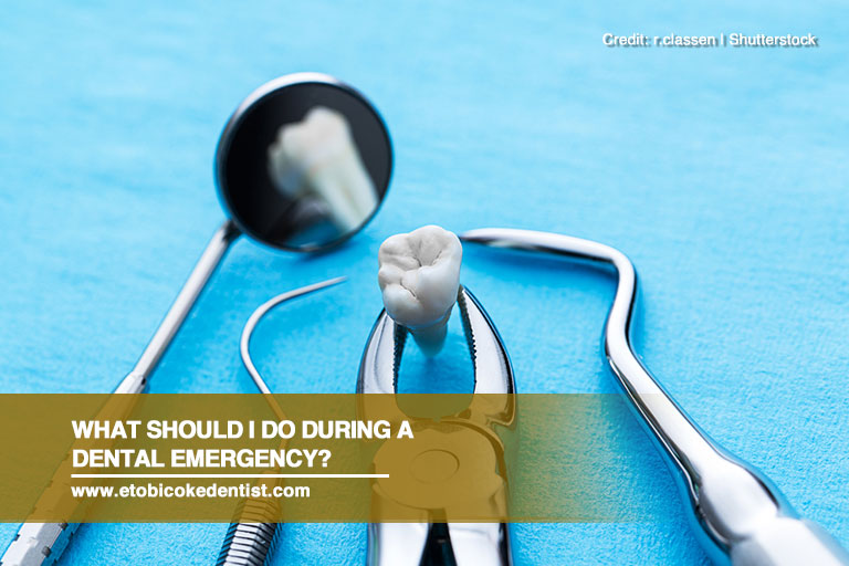 What Should I Do During a Dental Emergency?